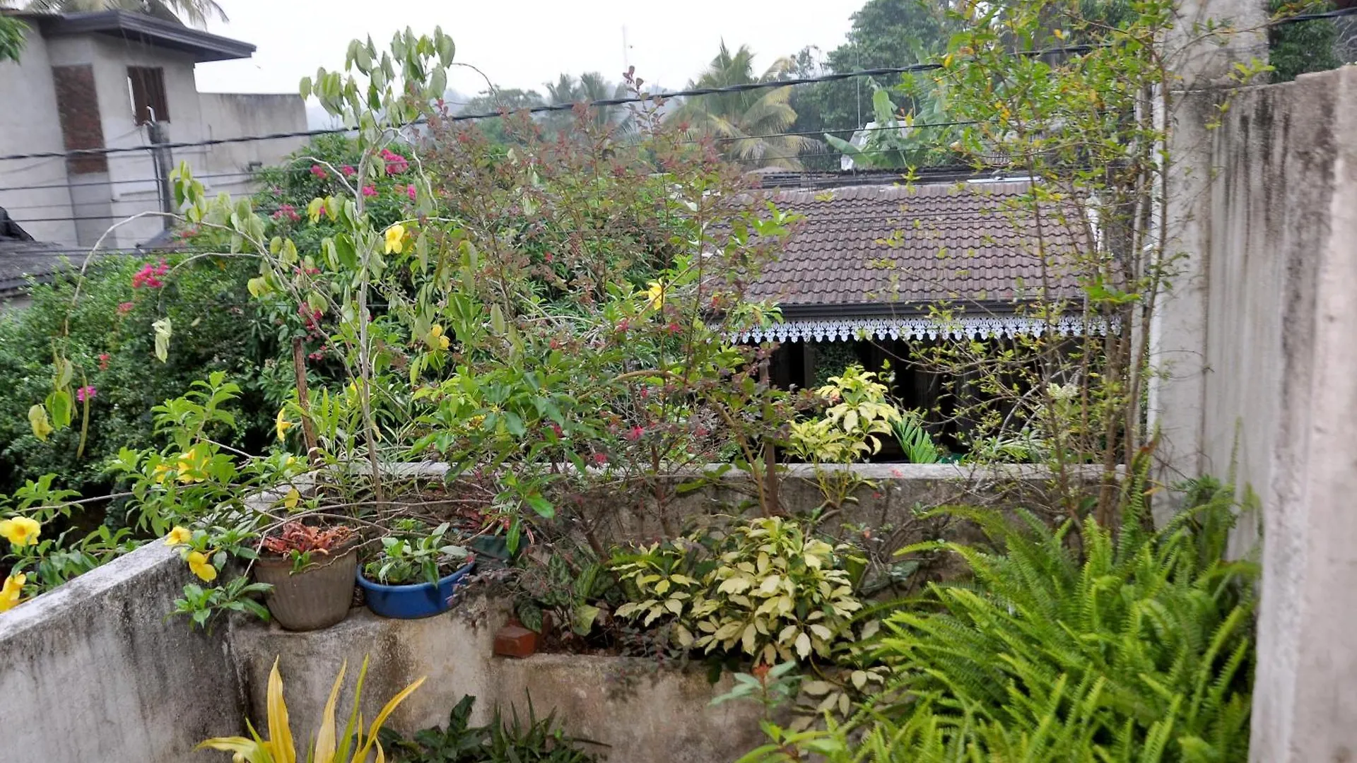 Golden Shower Inn Kandy